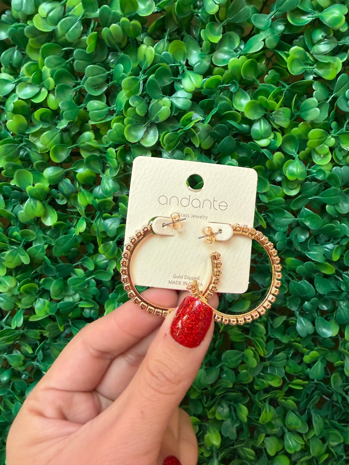 Basic Hoop Earrings