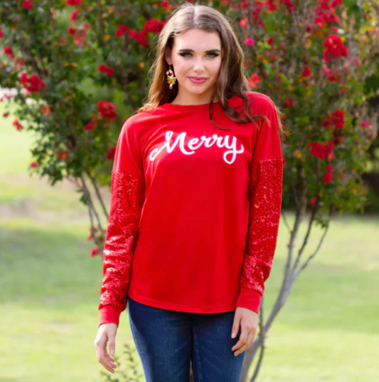 Merry Long Sleeve Top with Sequin Sleeves